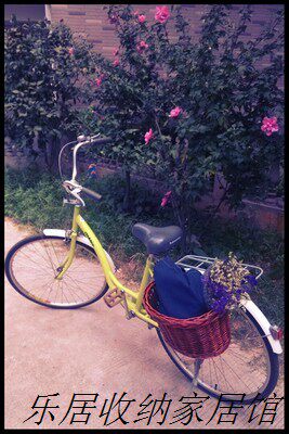 Panier pour vélo en vigne - Ref 2257523 Image 50