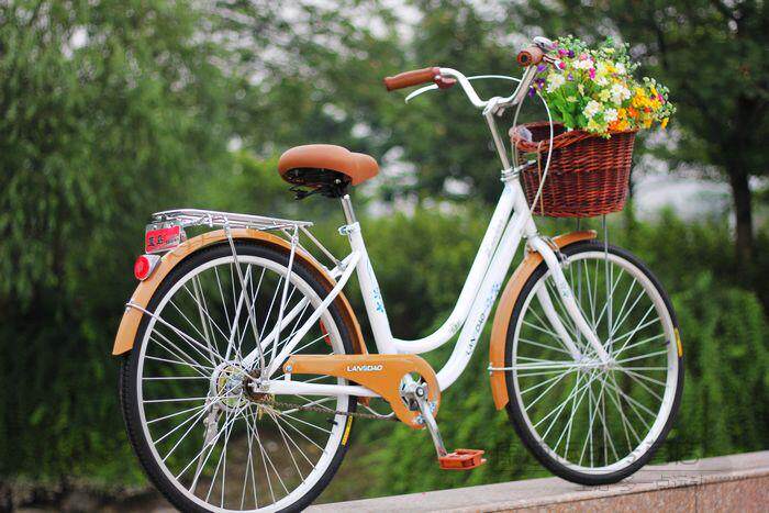 Panier pour vélo en vigne - Ref 2257523 Image 40