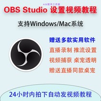 OBS Studio Live Software Settings Debugging Use Video Tutorial Game Screen Game Screen to deliver desk pet plugins