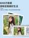 BOQY new student ccd small camera portable camera retro high-definition digital camera can be imported into mobile phone anti-shake
