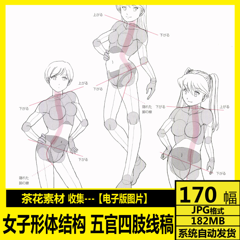 Anime line draft, female body structure, hair, facial features, limbs, hands and feet, painting copy design reference material