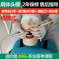 Shoulder body simulation head mold dental oral resin root canal implant isolated dental mold tooth preparation practice model chair-tied