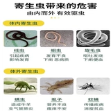 Beast Better -petswet Pet Pet Pets упаковывает свинью свиньи, корову, овца, утиная гусь, голубиное кроличье тело внутри и снаружи тела