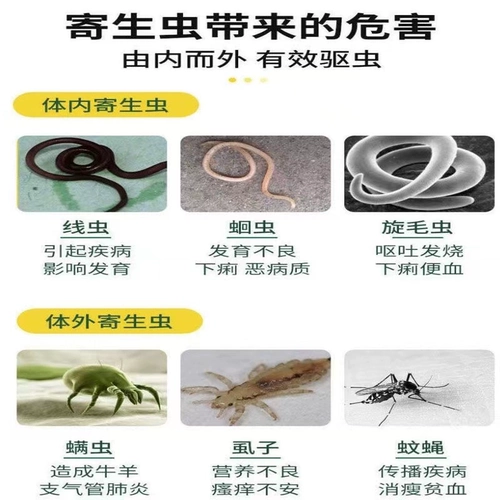 Beast Better -petswet Pet Pet Pets упаковывает свинью свиньи, корову, овца, утиная гусь, голубиное кроличье тело внутри и снаружи тела