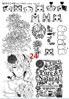 24