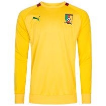 Cameroon African mens autumn and winter long sleeves football training jumper cold men Jersey 739526