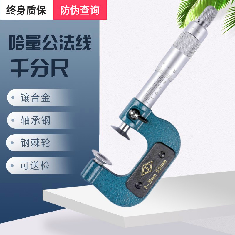 Hamlet Public Law Line micrometer 0-25-50-75-100 outer diameter micrometer high precision 0001 gear caliper