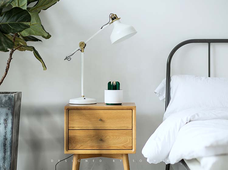 Sothing向物仙人掌灭蚊灯