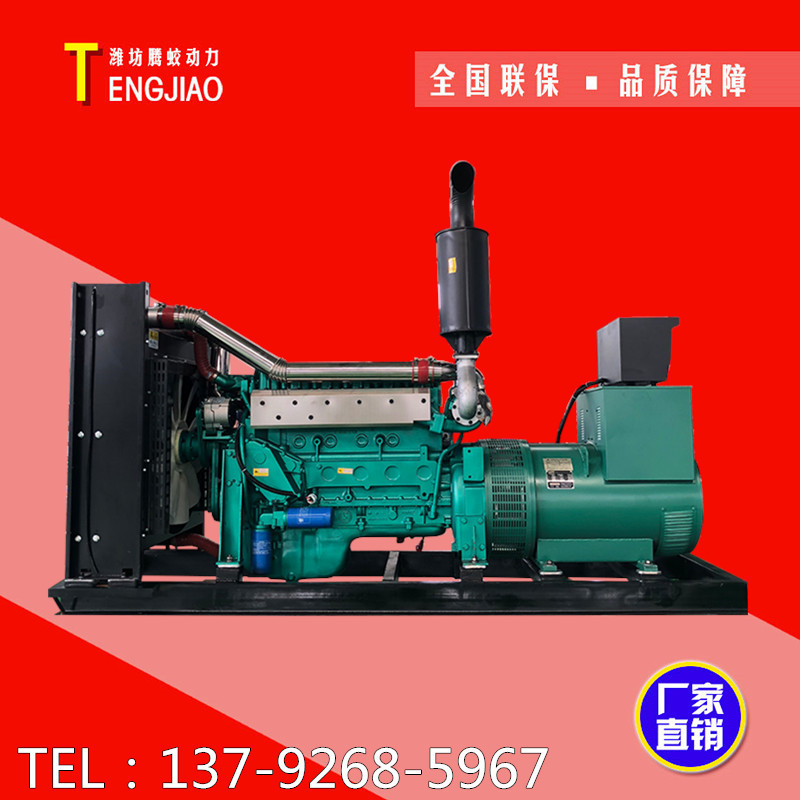 Weifang Stel Series 200KW250kw 300 KW diesel generating set full copper three-phase 220380 V