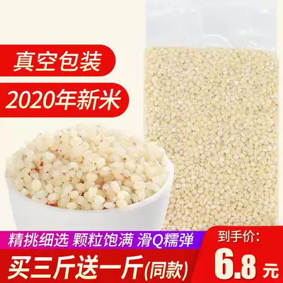 Buy 3 get 1 new rice sorghum rice northeast specialty edible Heilongjiang white sorghum rice grains fresh shelling peeling