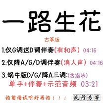 All the way to flower popular guzheng songs custom guzheng accompaniment pickpocketing with adapted sound recording transfer and speed reduction