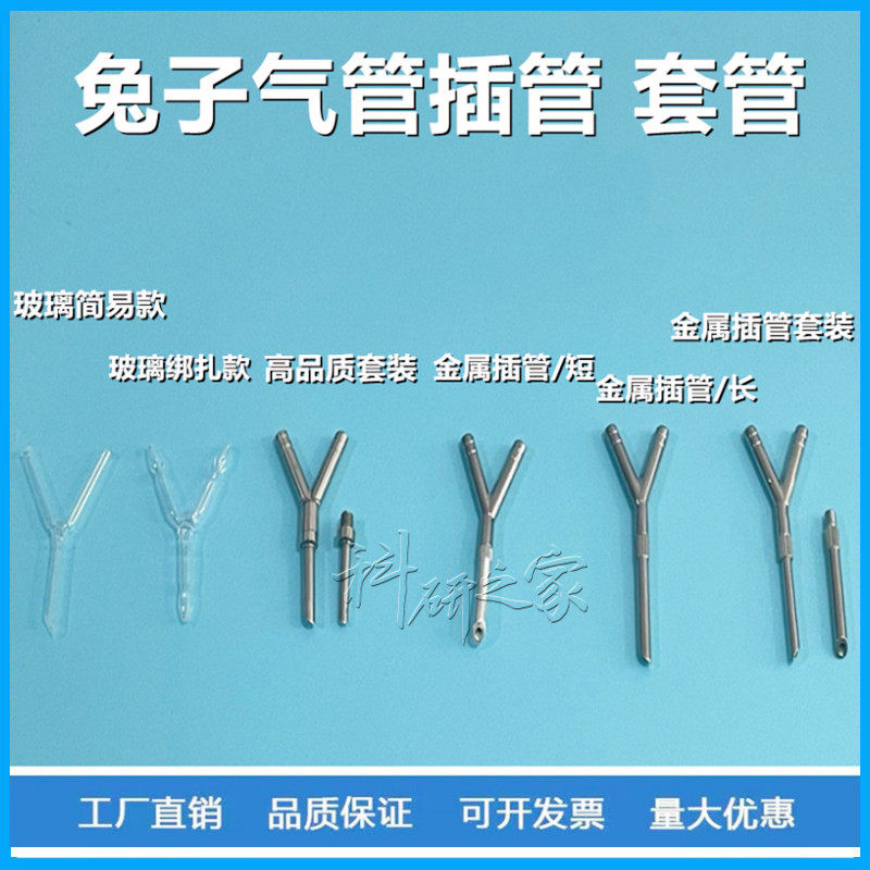 兔子Y型气管插管 y型插管 兔子不锈钢气管插管 套管替换 兔气插管