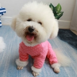 Физиологичные хлопковые тонкие штаны, защитный эластичный лонгслив