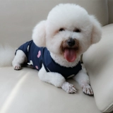 Осенний тонкий хлопковый жилет, послеоперационный бандаж пупочный