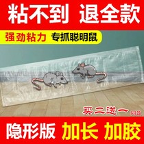 Rat stickup super power sticky rat plate catch caught mousetrap deity Killer Rats home indoor rat Kstar One cohorts