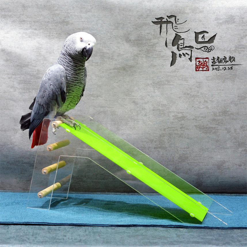 Parrot Toy Parrot Slide Ladder Puzzle Puzzle Training Props Skills Training Appliance Medium Large Parrot Climbing Toy