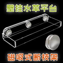 Coral base bracket sea water fish sea coral branch seat grass tank cultivation platform Button coral broken branch seat