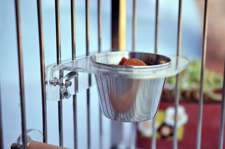 Stainless steel parrot cup cup sink cylinder tank tank with portable bite-resistant twin screws