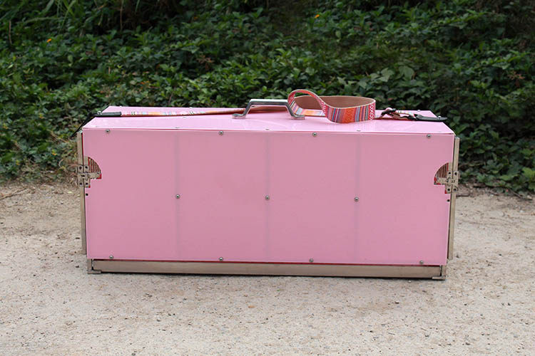 Dinggang carry cage outside with a mobility cage sunflower ash machine Amazon out stainless steel hand cage acrylic bird cage