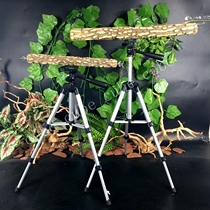 Parrot portable station frame out of the station frame multifunctional light station frame portable bird rack training stand Zanthoxylum Wood station frame