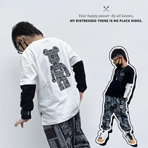 Child long sleeve T-shirt Chauded boy clothes spring clothes boy hit bottom shirt baby clothes loose and fake two blouses