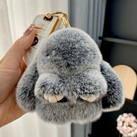 Мороз черный истинный рекс