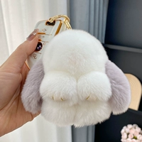 Серый + Белый Истинный Рекс Рекс