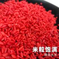 Wine Rice Nest Stock Wild Fishing Bait for cohort carp Carp Through Killing Red Worm Almighty Small Medicinal Liquor Fish Stock Fishing Gear