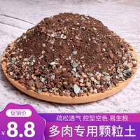 Плохой почва специальная питательная почва посадка почва вулканическое камень пшеница блюда камень дорожки камень чистые гранулы и почва торф.