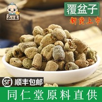 Tongrentang Chinese herbal medicine Raspberry 500g Hand-selected big fruit dried fruit hanging hook Raspberry plum raspberry Wild Berry tea