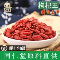 Wolfberry Ningxia pure Zhongning Gou Wolfberry leave-in large grain premium red Wolfberry Tea 500g Organic Wolfberry Chinese Herbal medicine