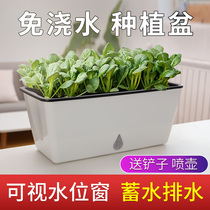 Multi-meat flowerpots 2021 new self-absorbent thickened plastic large number green broccoli deep high basin rectangular large flower pot