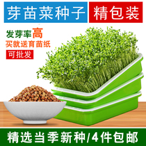 Bean sprouts Seeds Sprouts seeds Wheat grass seedlings Mung beans soybeans Hemp peas Cabbage okra Hydroponic vegetables
