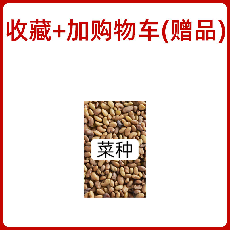 A special gift for the special gift of the Leplanting