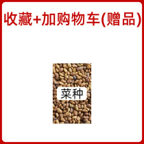 A special gift for the special gift of the Leplanting