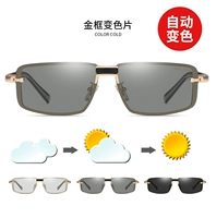 Золотая кадра