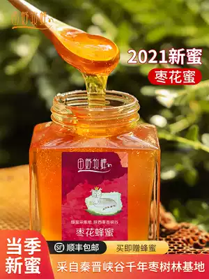 Field Shepherd Bee Gold Award Honey Jujube Nectar Pure natural high-activity mature raw honey 2021 New Jujube flower honey