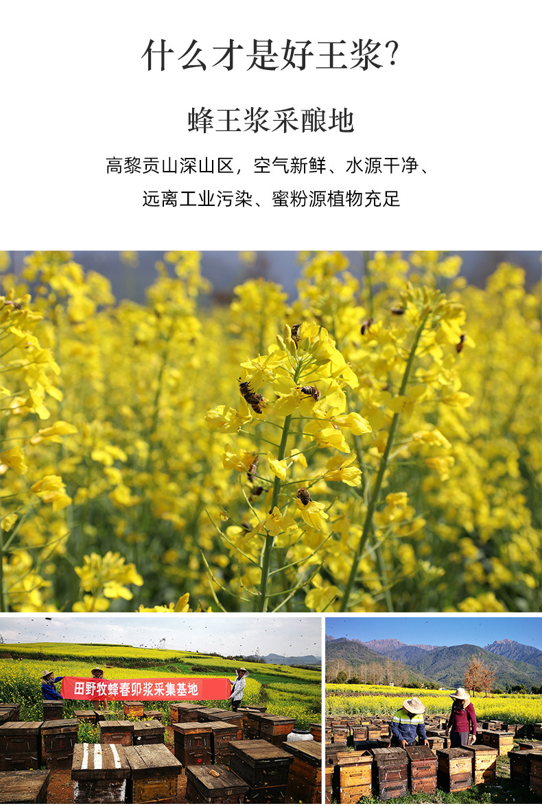 Wangpi 790 fonts_10.jpg