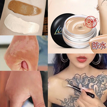 Covering scar stealth patch cover annihilation paste artifacts meat fake skin birth black mole