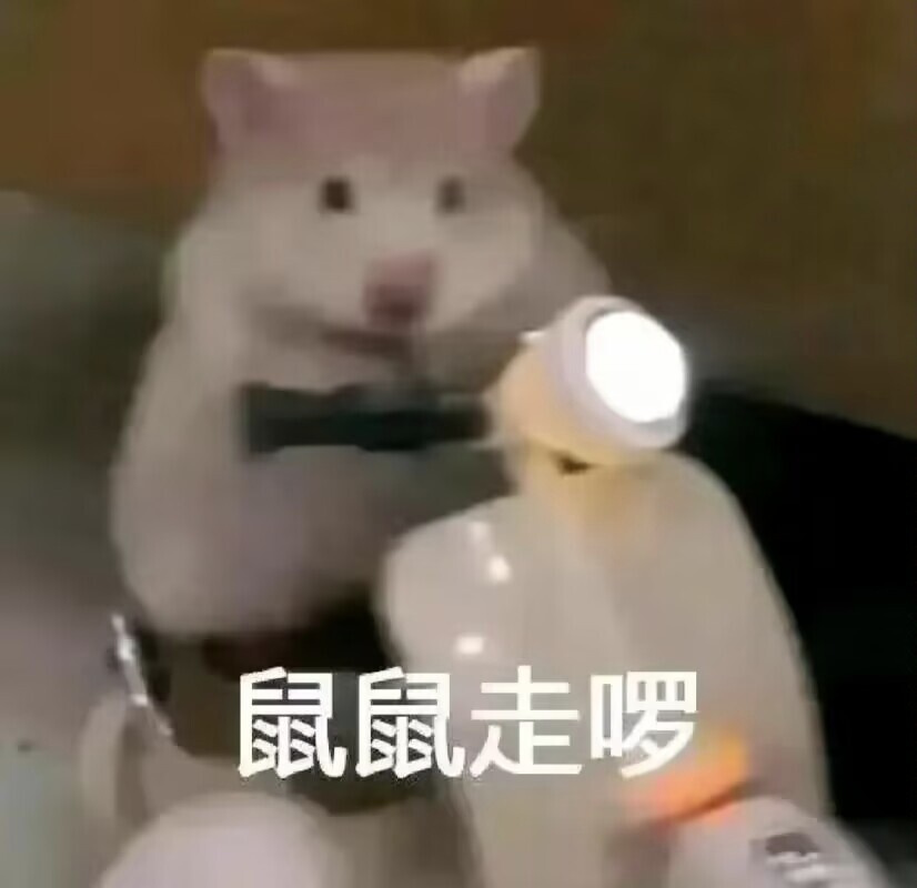 鼠鼠的米仓