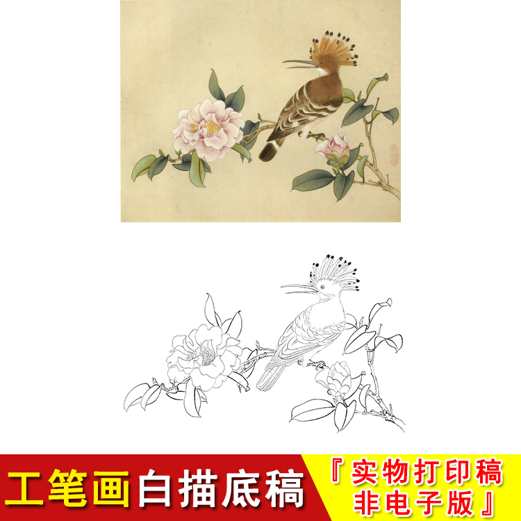 Yu Zhizhen Little Pink Pecking Wood Bird Dai Shengshan Tea Work Stroke White Sketching material Physical Print Draft JV18-Taobao