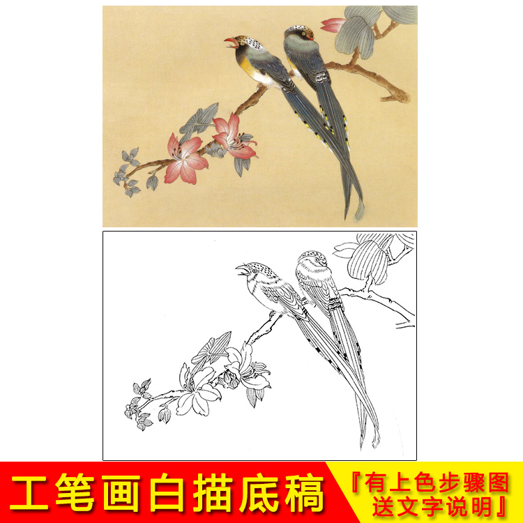 Physical Print Manuscript Work Stroke White Sketches Flowers Birds Suitable for beginology Imitation Hook Line With Caption -YA11 - Taobao