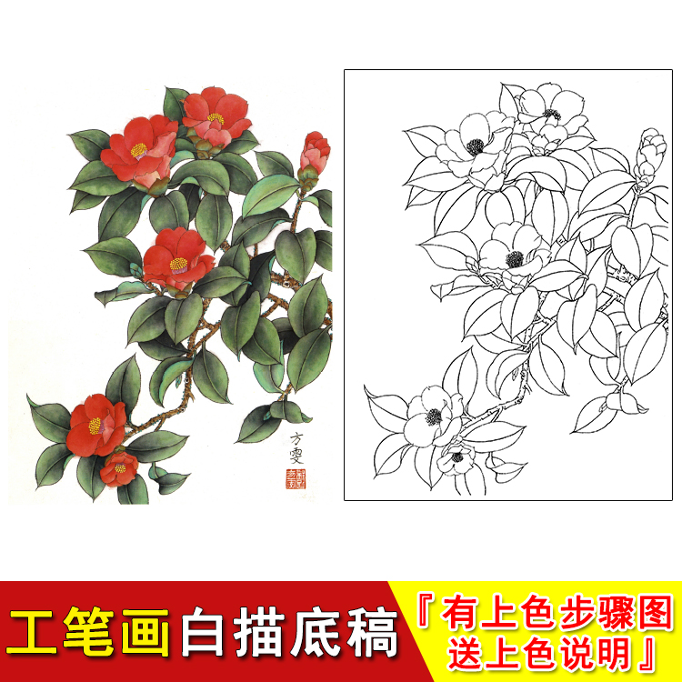 White sketch work pen bottom draft country painting step by step suitable for beginology practice up to color physical print manuscript YB08-Taobao