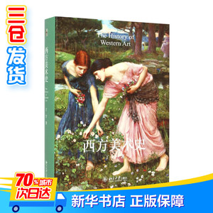 西方美术史 丁宁 著 美术理论