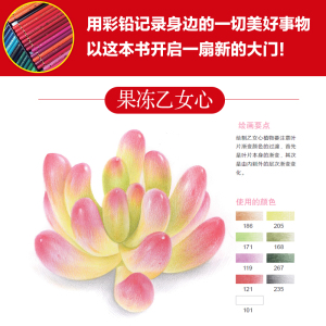 从零起步 彩色铅笔绘画完全自学 莎语默 美术技法