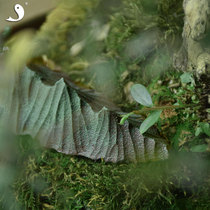 Big fish beauty ceramic Green Mountain micro landscape handmade mountain hills decoration tea pet tea ceremony accessories desktop small decoration