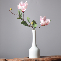 Ceramic vase Jingdezhen shadow glaze flower arrangement small household decoration bottle creative simple tea ceremony accessories