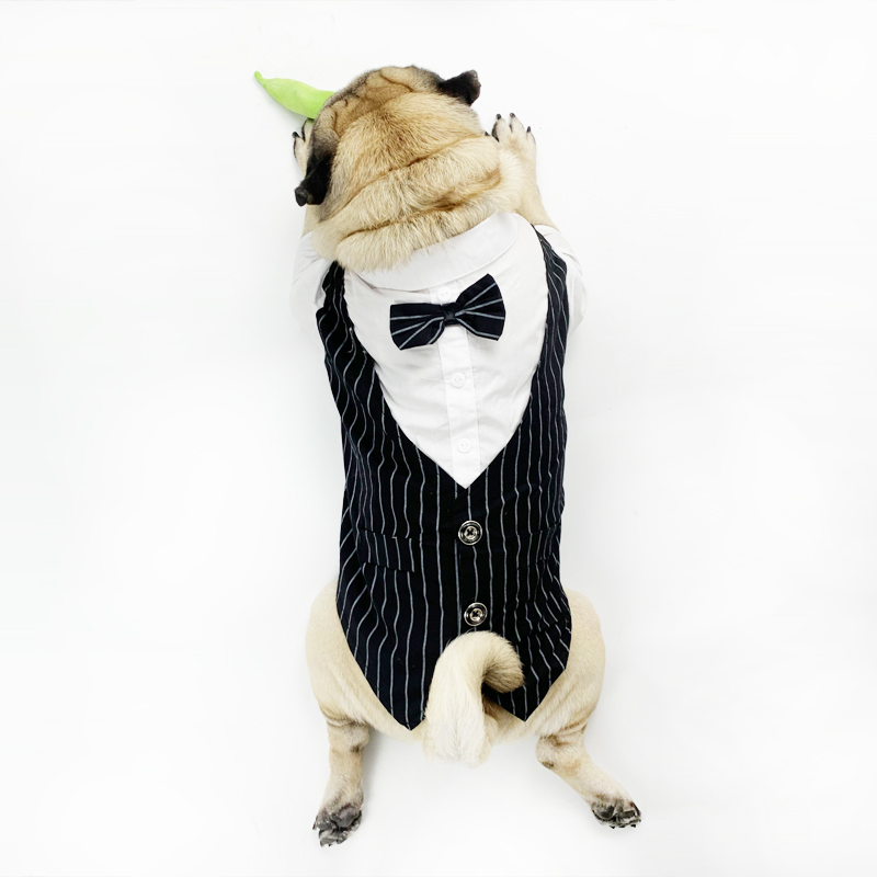 French Dou Pug clothes dog shirt suit clothes fat dog shirt suit clothes big size fat dog clothes
