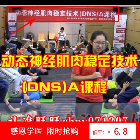 Dynamic Neuromuscular Stabilization Technology (DNS) A course 2016 Guangzhou Class 3 days HD with Chinese translation