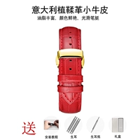 Красный пояс+золотая пряжка